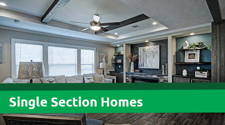 Single Section Homes